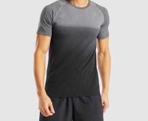 Gymshark Ombre Seamless Tee